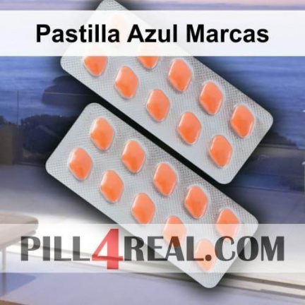 Pastilla Azul Marcas 950