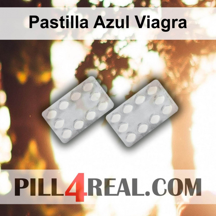 Pastilla Azul Viagra 509