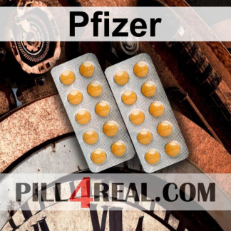 Pfizer 203