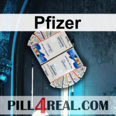 Pfizer 310