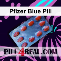 Pfizer Blue Pill 508