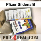 Pfizer Sildenafil 094