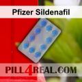 Pfizer Sildenafil 124