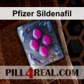Pfizer Sildenafil 248