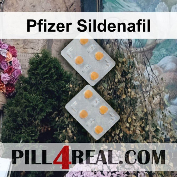 Pfizer Sildenafil 351