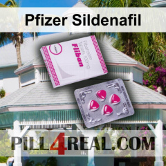 Pfizer Sildenafil 377