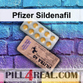 Pfizer Sildenafil 502