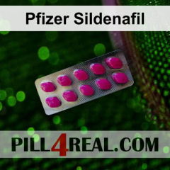 Pfizer Sildenafil 576