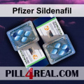 Pfizer Sildenafil 589
