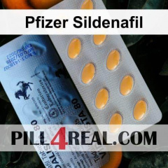Pfizer Sildenafil 665