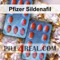 Pfizer Sildenafil 740