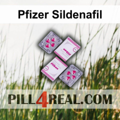 Pfizer Sildenafil 930