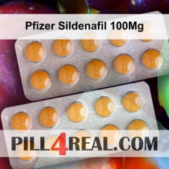 Pfizer Sildenafil 100Mg 053