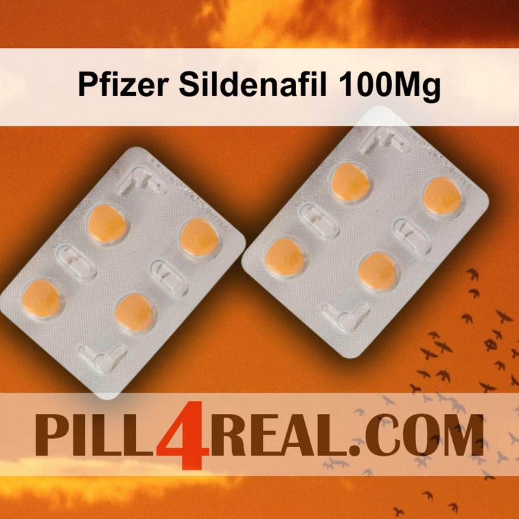 Pfizer Sildenafil 100Mg 693