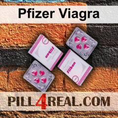 Pfizer Viagra 109