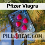 Pfizer Viagra 174
