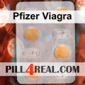 Pfizer Viagra 209
