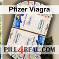 Pfizer Viagra 282