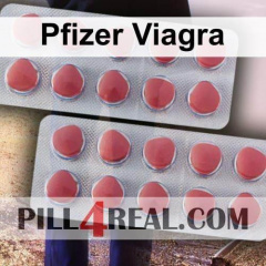 Pfizer Viagra 290