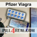 Pfizer Viagra 336