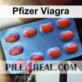 Pfizer Viagra 362