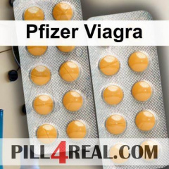 Pfizer Viagra 407