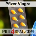 Pfizer Viagra 684