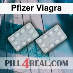Pfizer Viagra 848