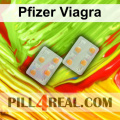 Pfizer Viagra 873