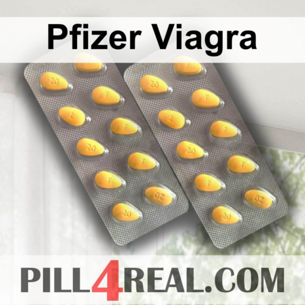Pfizer Viagra 958