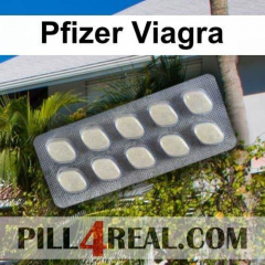 Pfizer Viagra 959