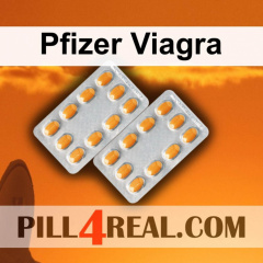 Pfizer Viagra 996