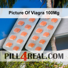 Picture Of Viagra 100Mg 127