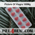 Picture Of Viagra 100Mg 218
