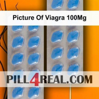 Picture Of Viagra 100Mg 378