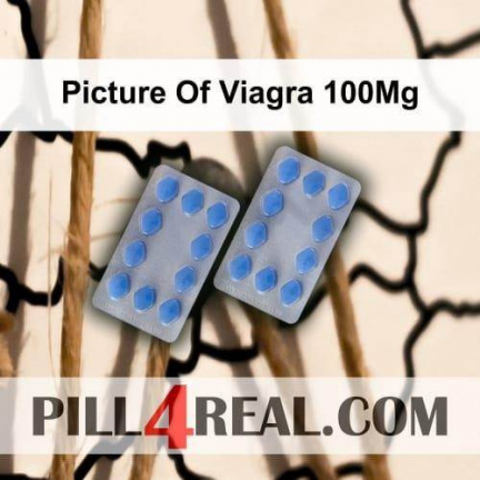 Picture Of Viagra 100Mg 600