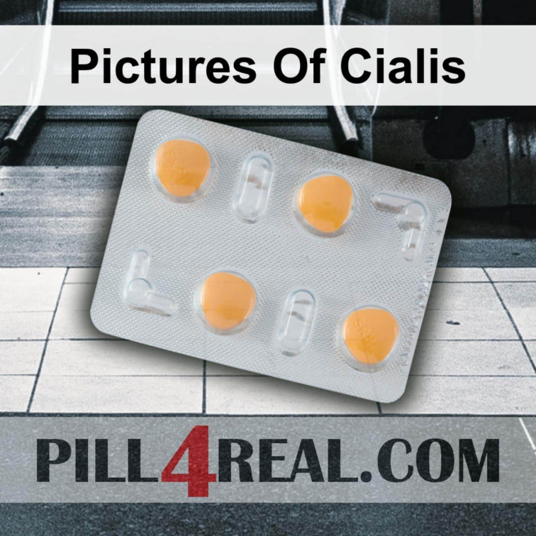 Pictures Of Cialis 626