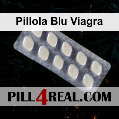 Pillola Blu Viagra 231