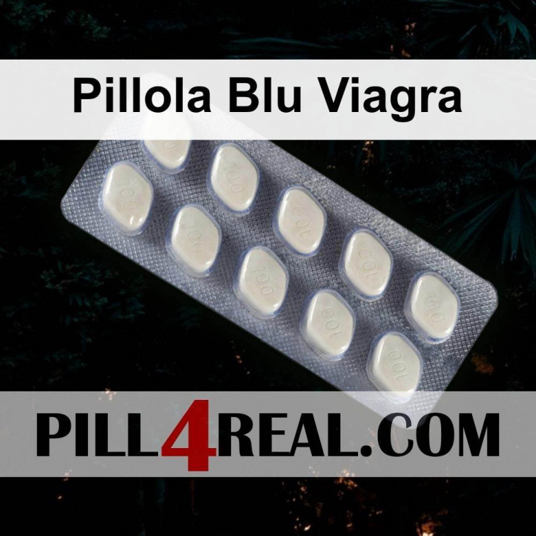 Pillola Blu Viagra 231