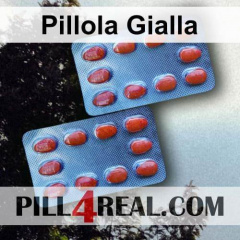 Pillola Gialla 256