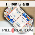 Pillola Gialla 536