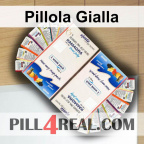 Pillola Gialla 536