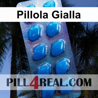 Pillola Gialla 997