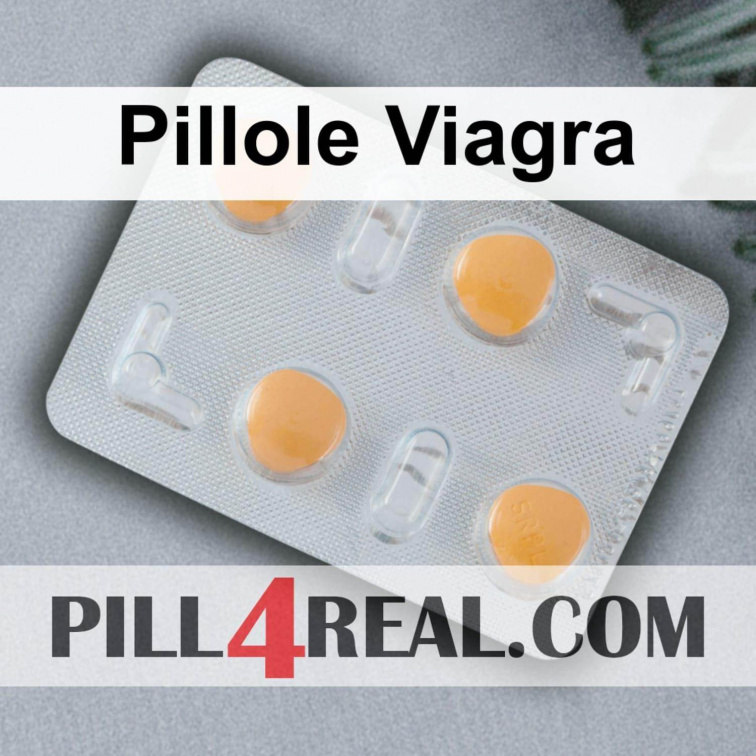 Pillole Viagra 170