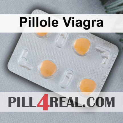 Pillole Viagra 170