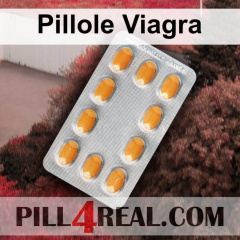 Pillole Viagra 207
