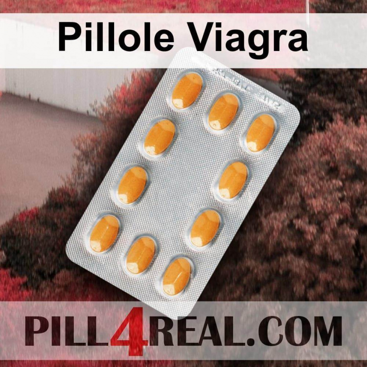 Pillole Viagra 207