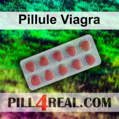 Pillule Viagra 050