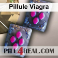 Pillule Viagra 133