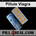 Pillule Viagra 702